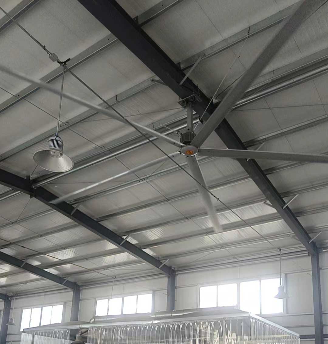 quạt trần lớn big ceiling fans